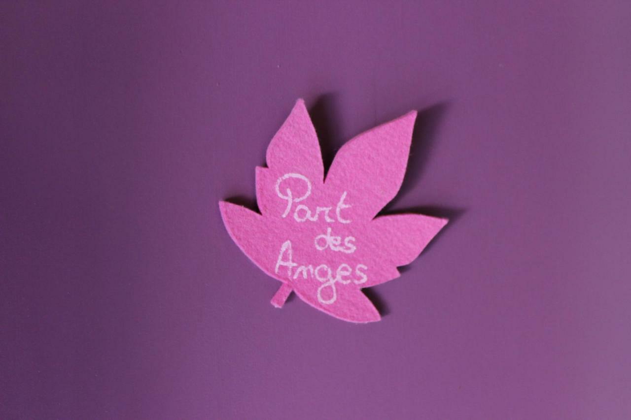 Le Mas De Roux Chambres D'Hotes Bragassargues エクステリア 写真